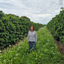 Brasil Nakao Peaberry