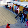 MEXICO MALINAL NAYARITA