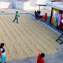 MEXICO MALINAL NAYARITA