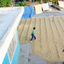 MEXICO MALINAL NAYARITA