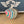 Skateboard Creations Knob for Comandante