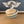 Skateboard Creations Knob for Comandante