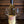 Fantastico Wine Pairings