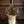 Fantastico Wine Pairings